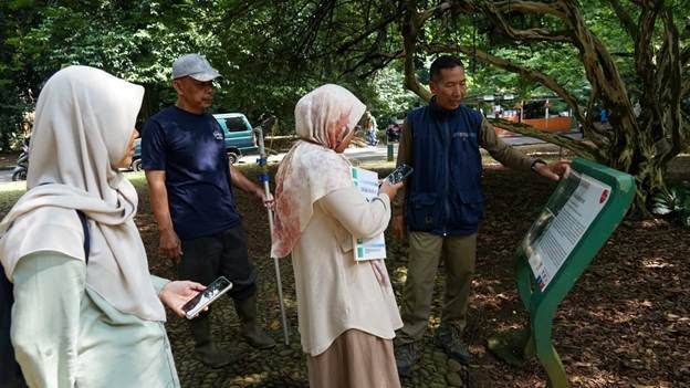 Teknologi KOFFCO, Terobosan Baru untuk Menyelamatkan Pohon Langka Kokoleceran Vatica bantamensis