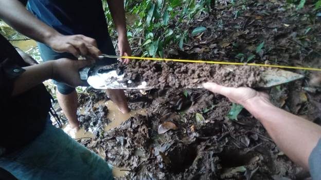 Uji Coba Alat Ukur: Langkah Pasti Pemantapan Kawasan Hutan